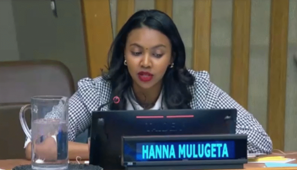 Hanna Mulugeta, DEC Ethiopia, speaking at the UN at CPD58